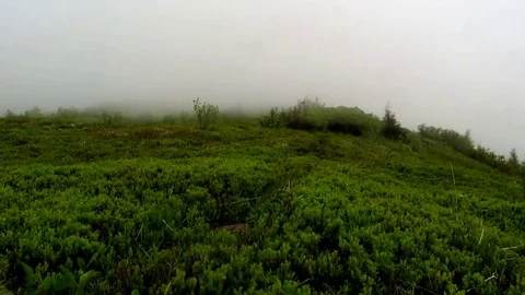 Wind and fog on the mountain Stock Footage 69084262