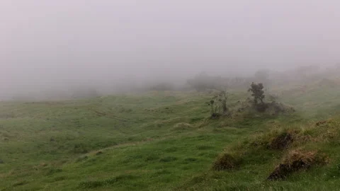 Wind and Fog moving through a Field. Sao Roque Do Pico, Pico, Portugal, Azores Stock Footage 238410210