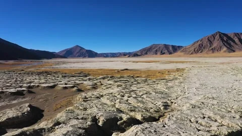 Wind and grass, climate warming, Gobi Stock Footage 241967785