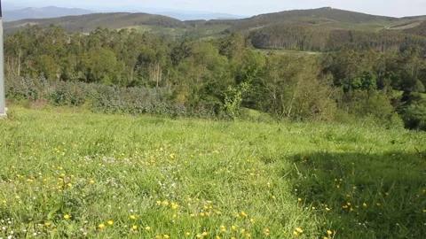 Wind and green in the mountains Stock Footage 255210459