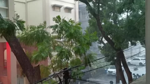 Wind and Heavy Rain Stockbeeldmateriaal 240419933