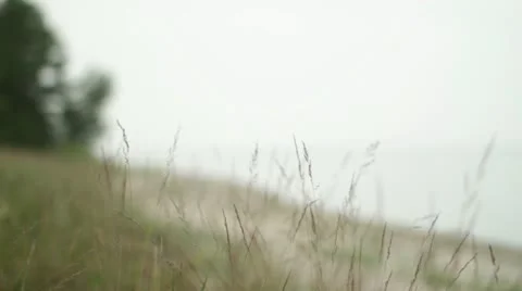 Wind And Nature Stock Footage 11297284