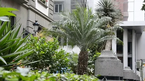 Wind and nature with plants Video stock 119891903