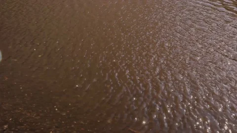 Wind and puddle Stock-Footage 128639389