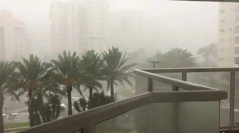 Wind and rain in a storm at Tel-Aviv city Stock Footage 57327205