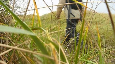 Wind and Rain Trek Stock Footage 10884785