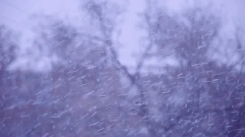 Wind And Snow On Blue Sky Background Stock Footage 44192674