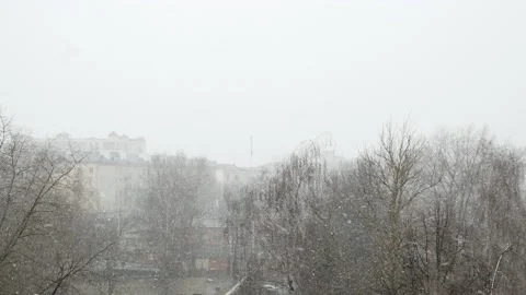 Wind and snow in the borough. Stock Footage 130321386