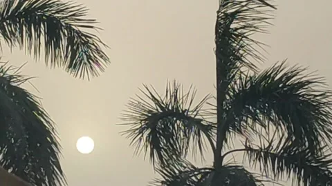 Wind and sun Stockbeeldmateriaal 168280047