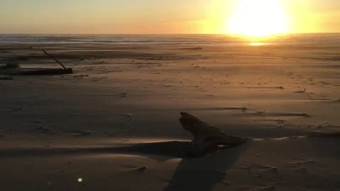 Wind and sunset Stock Footage 202186767