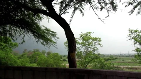 Wind and tree Stock Footage 154548316