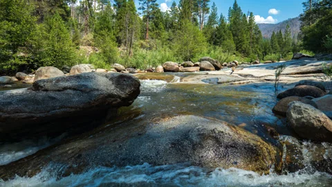 Wind and Water Animates Merced River, Yosemite Time Lapse Stock Footage 280185548