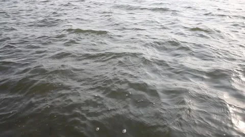 Wind and waves on the lake Stock Footage 63749432