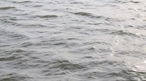 Wind and waves on the lake Stock Footage 63749528