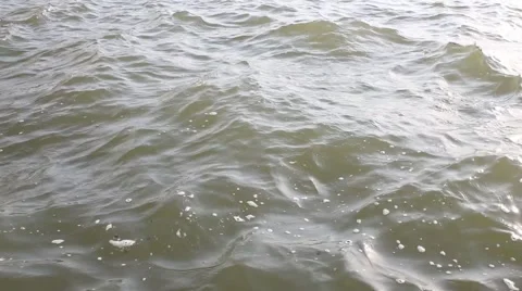 Wind and waves on the lake Stock Footage 63749619