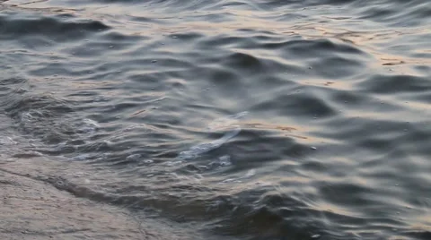 Wind and waves on the lake Stock Footage 63749958