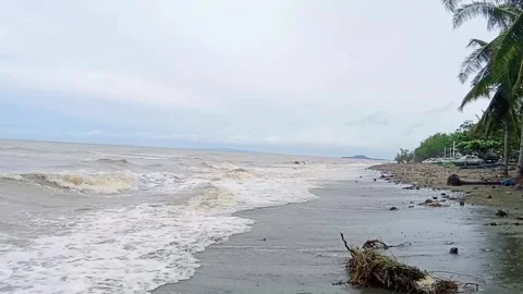 Wind on an Asian beach. Stock Footage 321815648