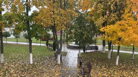 Wind in the autumn park. Stock Footage 320624493