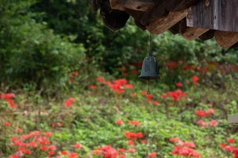 A wind-bell under the eaves of a red-flowered garden background Stock Photos