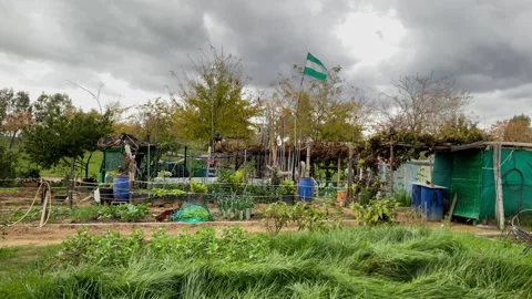 Wind bends tall grass around improvised garden plots as storm clouds gather Stock Footage 327464178