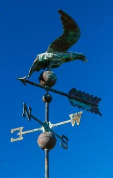 Wind bird Stock Photos