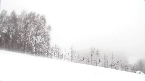Wind blow snow on the ground at the edge of the pasture enclosed by a wooden Vídeos de archivo 60057023