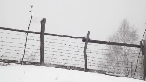 Wind blow snow on the ground at the edge of the pasture enclosed by a wooden Stock Footage 60057047