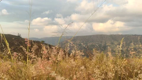 Wind blowing across grass in the mountains 库存影片 142975188