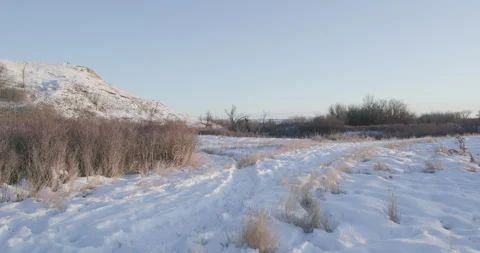 Wind blowing across a snow-covered park path Video stock 332379211
