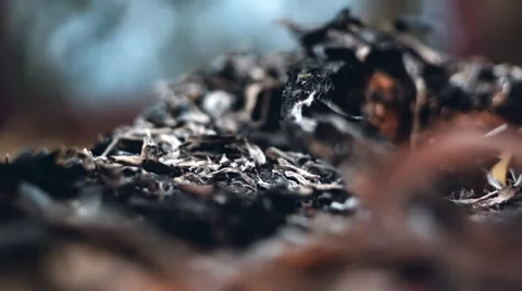 Wind Blowing Away Ashes 400fps 스톡 동영상 61850522