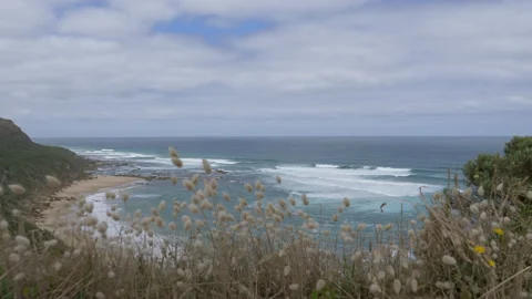 Wind Blowing on Beautiful Landscape Beach on South Coast, Australia 4K Stock-Footage 131402862