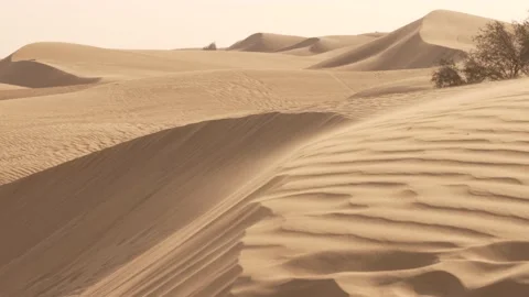 Wind blowing in the desert Stock Footage 174267281