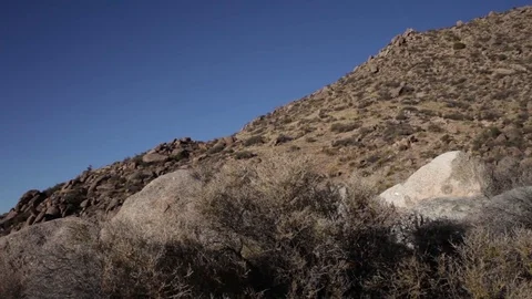 Wind blowing on a desert hill Vídeo Stock 81754891