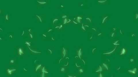 The wind is blowing feather on a green screen Stock Footage 295977889
