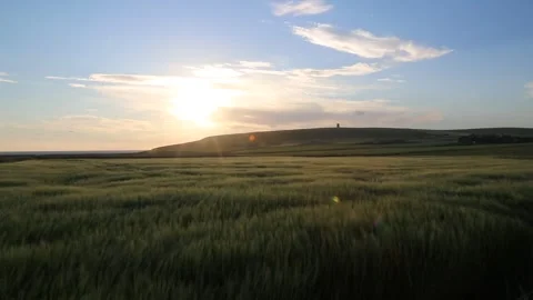 Wind blowing the field of barley below kitchener's memorial in Orkney in HD Stock-Footage 297994279