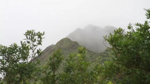 Wind blowing foreground.  Hawaii Mountain in Background Stock-Footage 45920043