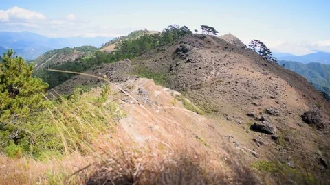 Wind blowing on a grass with a mountain backdrop Stock Footage 102352427