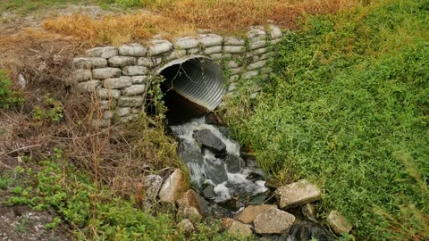 Wind blowing grass as Water flows out of a metal culvert pipe with green grass o Stock Footage 282037297