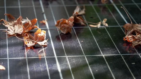 Wind blowing leaves of solar panel 2 Stock Footage 282736348