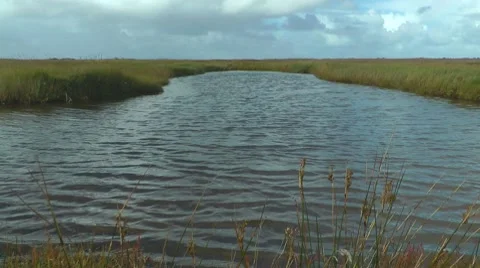 Wind blowing over pond, North Sea, Germany Stock Footage 8832043