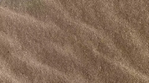 Wind blowing over sandy surface, lifting and scattering grains of sand Stock Footage 299939065