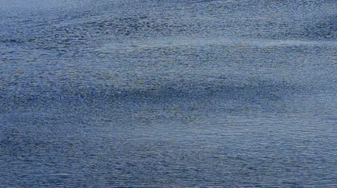 Wind blowing over water surface Stock Footage 14921441