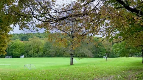 Wind Blowing Overhanging Tree Branches Framing Empty Soccer Field Stock Footage 346714980