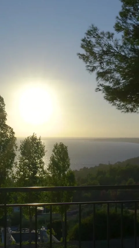 Wind blowing a pine tree with a sunset over a lake in the background Video stock 294963965