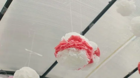 Wind blowing pompon Stock Footage 60177503