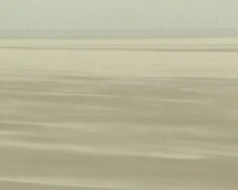 Wind blowing sand on beach Stock Footage 169291077