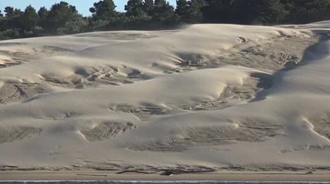 Wind blowing sand on the dunes along the Oregon Siuslaw River Stock Footage 64925673