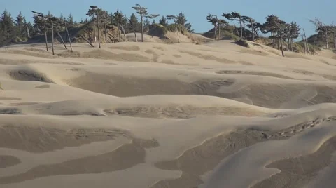 Wind blowing sand on the dunes along the Oregon Siuslaw River Stock Footage 64925914