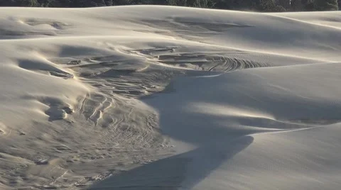 Wind blowing sand on the dunes along the Oregon Siuslaw River Stock Footage 64926498