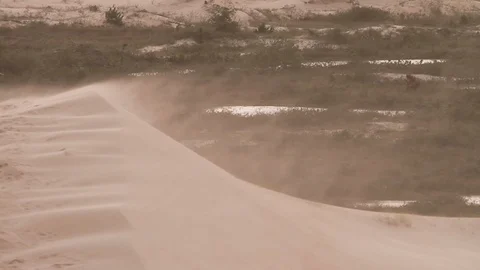 Wind blowing sand in a dunes landscape Stock Footage 90925577